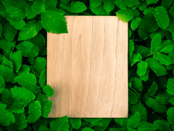 istock Wooden plaque in dark green grass, copy space, decorative template for inscription, text 1308241623