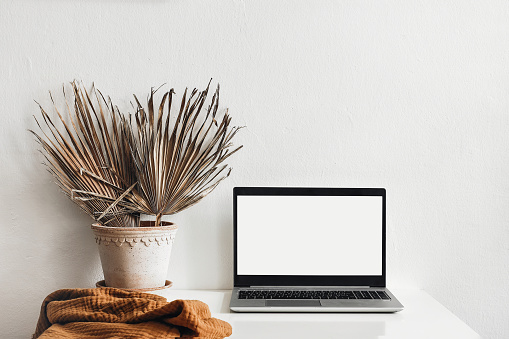 Tropical summer home office still life composition. Black laptop mockup with blank computer screen. Dry palm leaves in flower pot. White wall background, modern eclectic, boho interior design.
