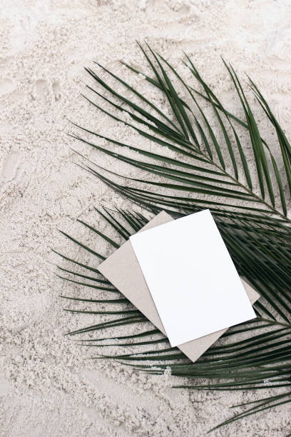 istock Tropical summer stationery still life. Empty greeting card mock-up, craft envelope on green date palm leaves. Sandy beach background, desert. Flat lay, top view. Exotic island vacation, travel concept. 1308253981