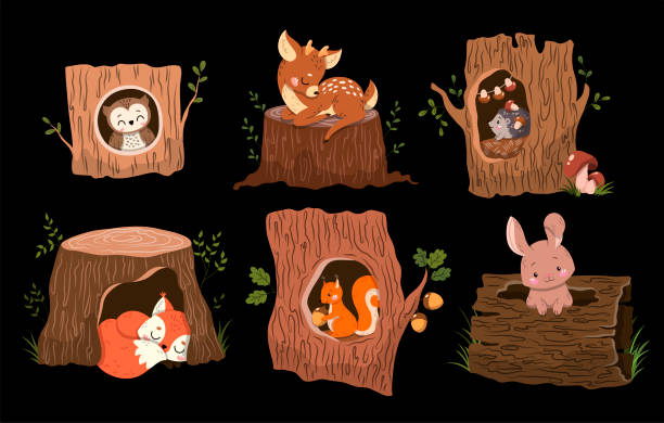 illustrations, cliparts, dessins animés et icônes de ensemble de 6 animaux adorables de forêt dans ou sur des troncs d’arbre - hollow
