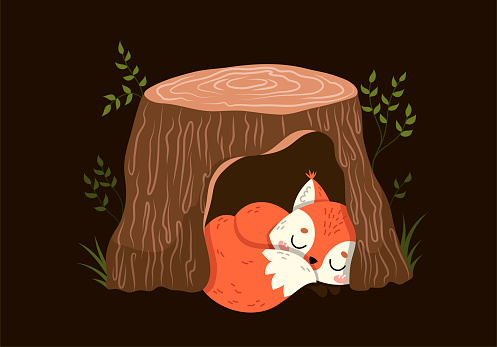 Cute little red fox sleeping in a hollow tree trunk during the darkness at night, colored vector illustration