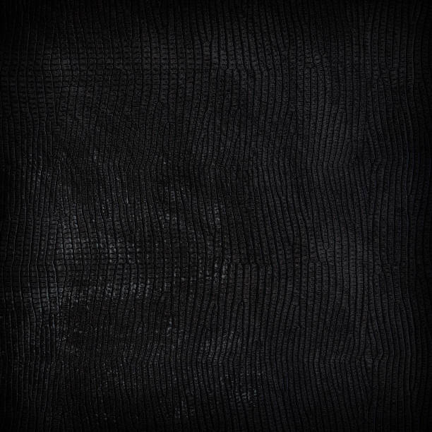 istock part of black leather fabric with reptile texture 1308254460