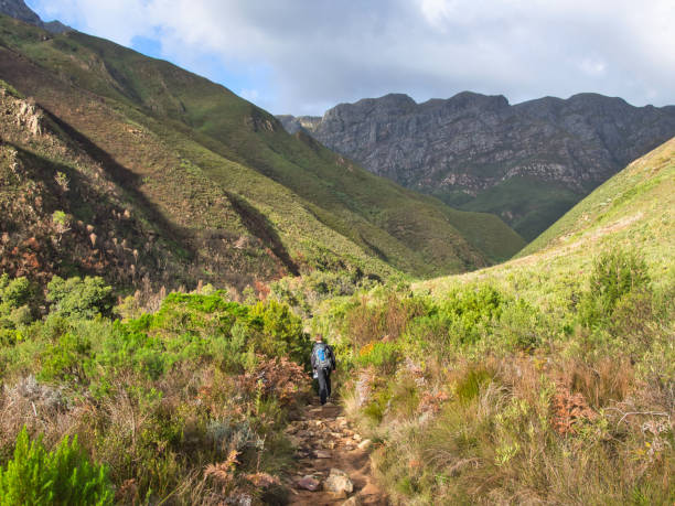 istock A young man walks in the beautiful Jonkershoek Nature Reserve 1308255281