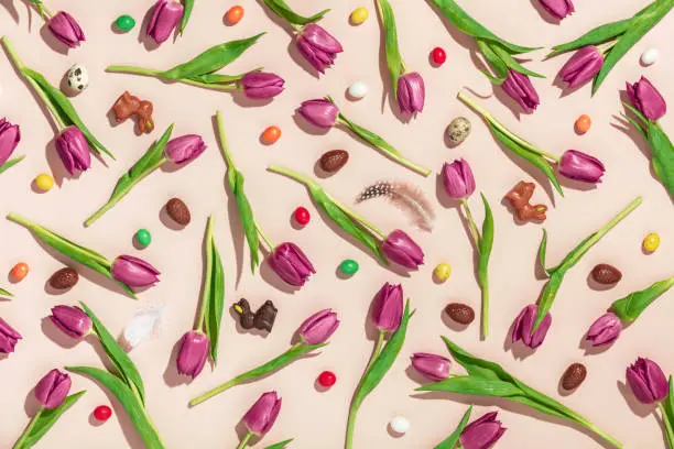 Easter composition with Pink tulips, chocolate eggs, bunnies and Jellybean pattern on pink background flat lay, top view. Floral pattern. Pattern of flowers. Flowers pattern texture
