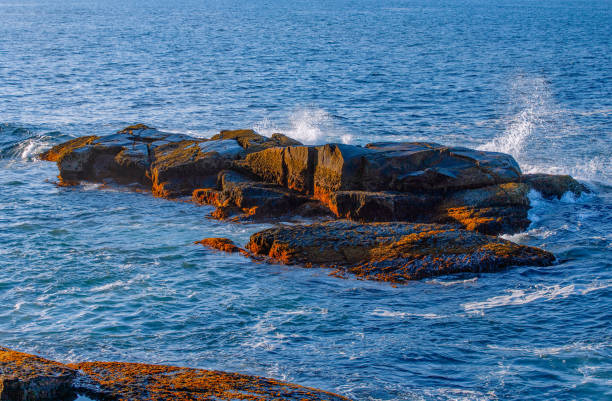 istock Coastal Sea Rocks 1308256208
