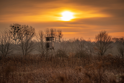 Hunting tower during an moody sunrise
