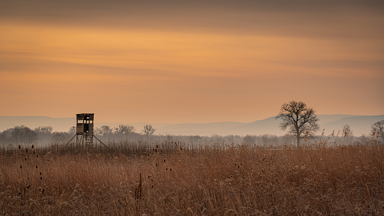 Hunting tower in the ambient morning light