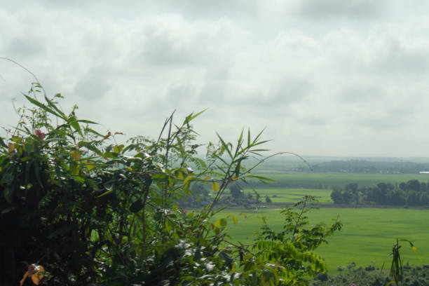 istock a tree and landscape area in Rakhine state Myanmar 1308257729