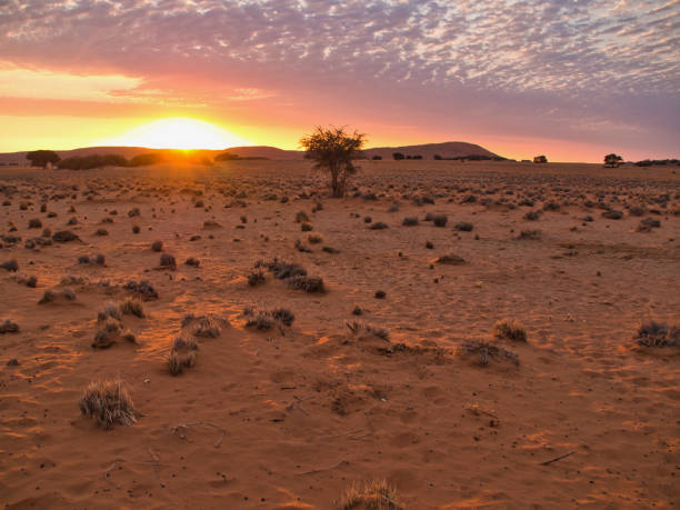 istock A beautiful sunset on the edge of the Sossusvlei 1308258921
