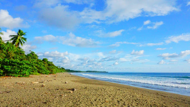 istock Stunning tropical paradise background. 1308259843