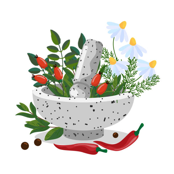 illustrazioni stock, clip art, cartoni animati e icone di tendenza di erbe naturali in una ciotola di pietra. piante medicinali - camomilla, rosa canoa, pepe. - mortar and pestle ayurveda spice chinese medicine