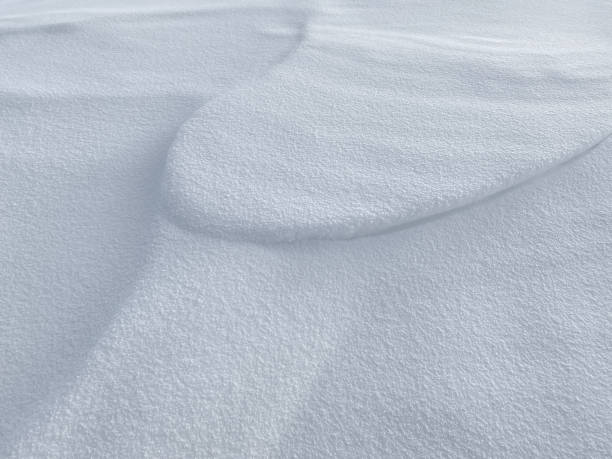 istock Winter season snow white blue texture concept background 1308262425