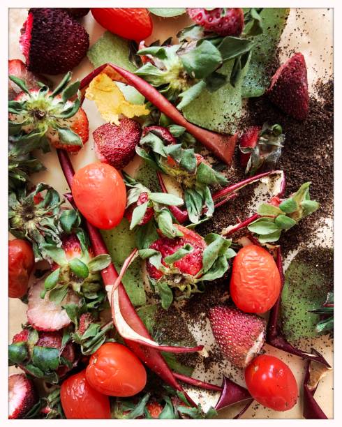 resztki jedzenia do kompostu zero waste - rotting food mold fruit zdjęcia i obrazy z banku zdjęć
