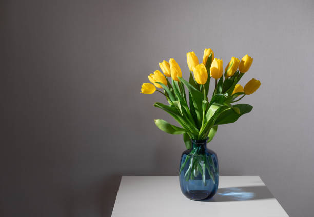 still life with bunch of yellow tulips on white table - tulip vase flower spring imagens e fotografias de stock