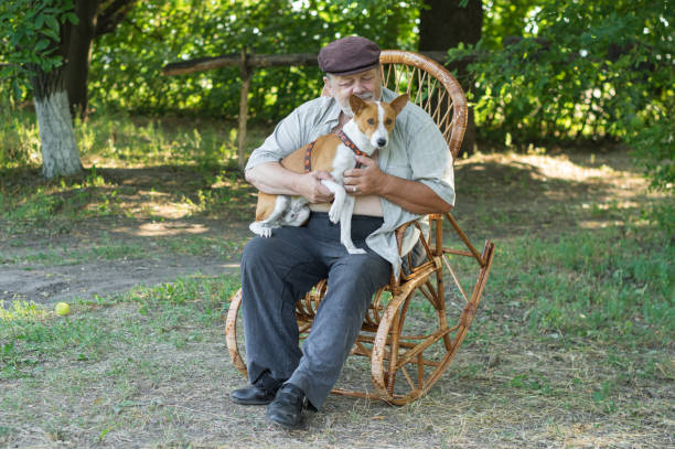 istock oung basenji dog sitting on senior master hands 1308264032