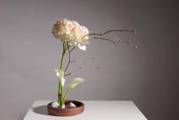 Flower arrangement of hydrangea, calla lilies and tree branches in clay vase with white stones. Japanese Ikebana style. gray background