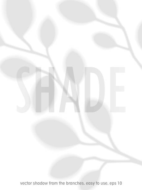 istock Shadow from branches with leaves. Transparent overlay template with silhouette of leaves. Created with the Blend tool. Vector design 1308265180