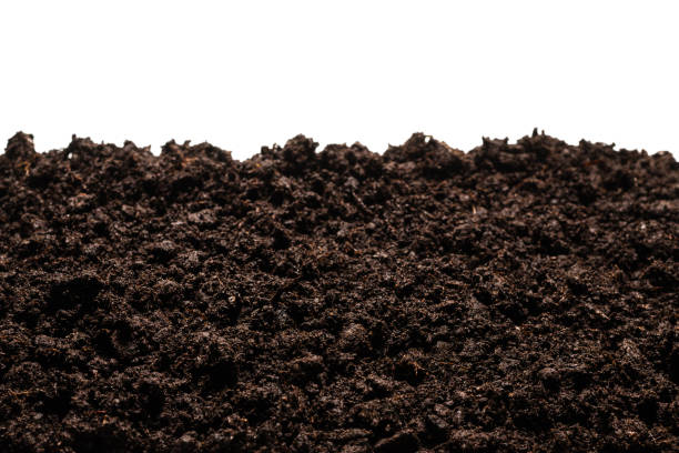 istock Black land for plant. 1308270577