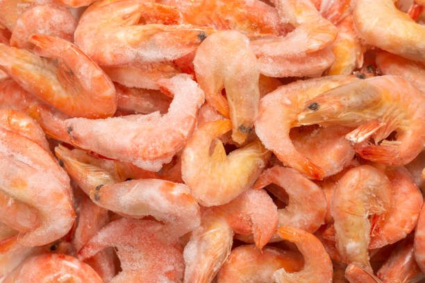 istock Fresh shrimps in ice. Top view. 1308270640