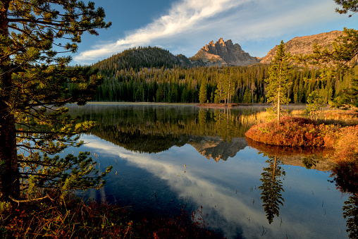 Pine tree forest and mountain peak reflection in Idaho wilderness