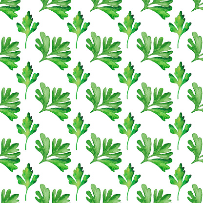 Green Parsley Seamless Pattern Stock Illustration - Download Image Now ...