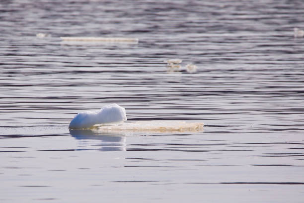 Waterscape photo of a small ice burg floating down the Mississippi River in Iowa in early springtime