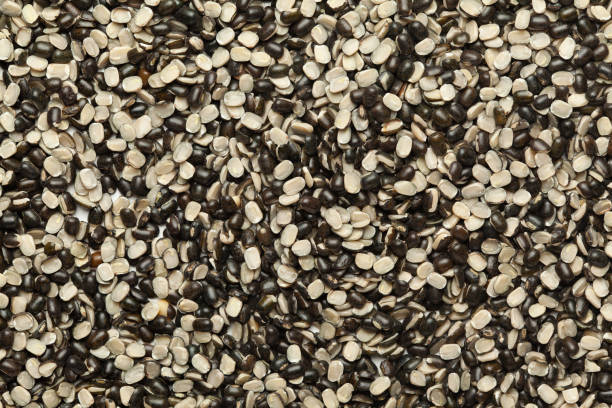 istock Close up of Organic split black urad dal (Vigna mungo) with shell Full-Frame Background. 1308275839