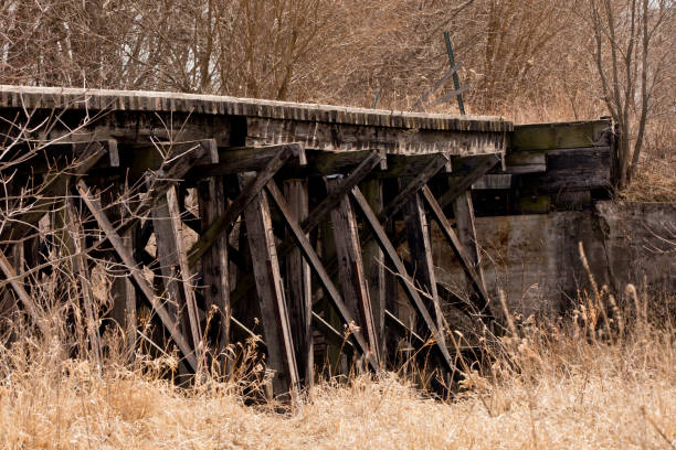 istock Abandoned train trestle bridge in the woods 1308276972
