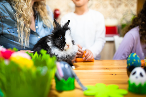 A cute bunny is on a table with Easter eggs and decorations