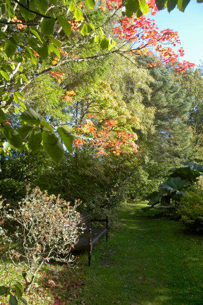 park bench in a park with a footpath, scotland - cottage scotland scottish culture holiday imagens e fotografias de stock