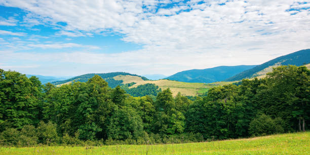 istock summer landscape of carpathian mountains 1308279238