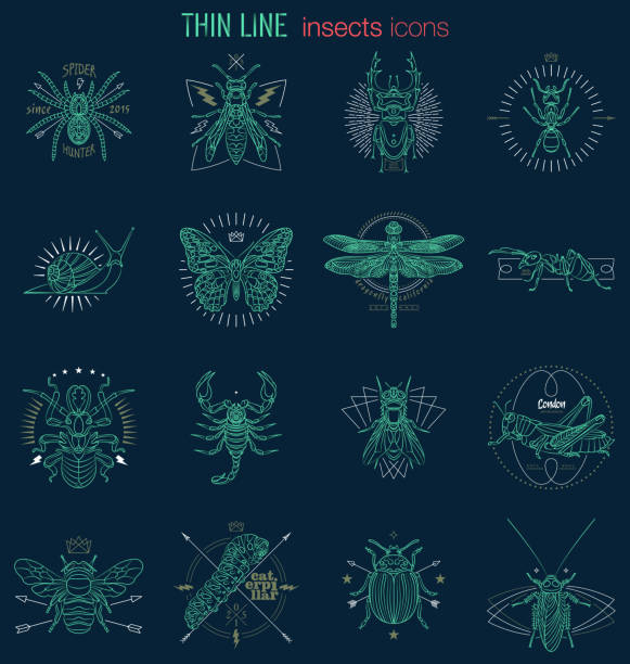 stockillustraties, clipart, cartoons en iconen met abstract insectenpictogrammenontwerp - kever