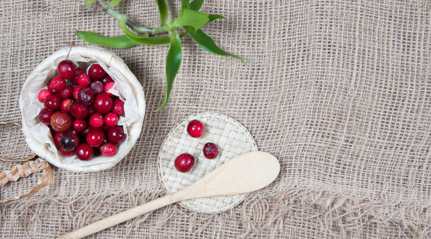 Cranberries in wicker basket on burlap background and wooden spoon. Copyspace Cranberries in wicker basket on burlap background and wooden spoon. Copyspace marshwort stock pictures, royalty-free photos & images