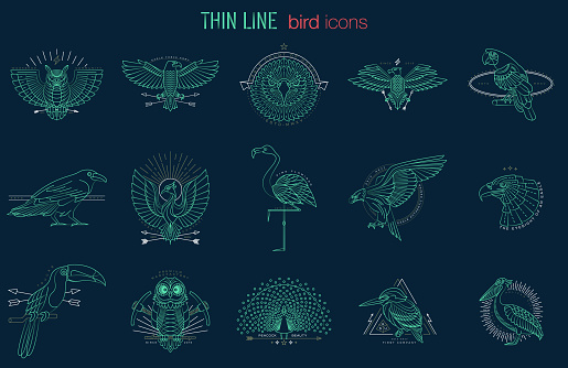 Set of bird icons. Abstract graphic design logo, badge, label, sticker. Vector stock illustration.