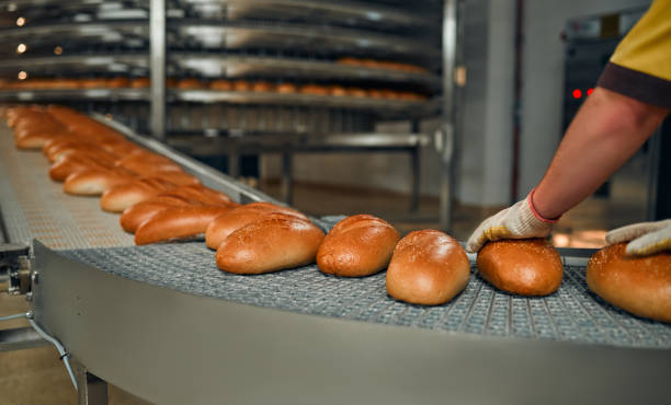 istock Factory for the production of bakery products 1308281151