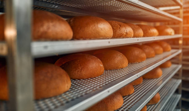 istock Factory for the production of bakery products 1308281255