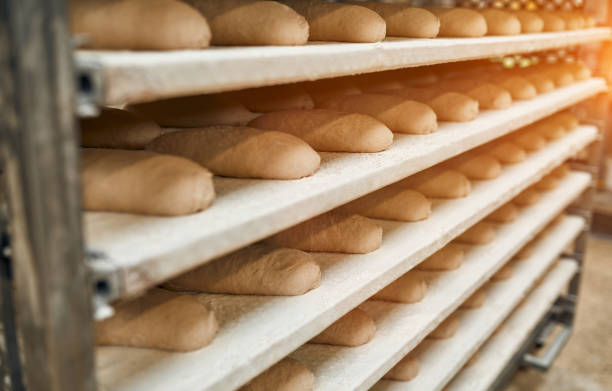 istock Factory for the production of bakery products 1308281270