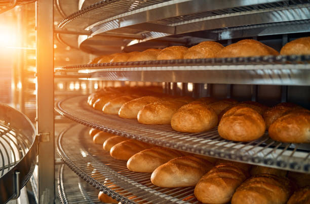 Factory for the production of bakery products A lot of bread prepare to move on in the shelf. Bread bakery food factory production with fresh products. Automated production of bakery products. confectioner photos stock pictures, royalty-free photos & images