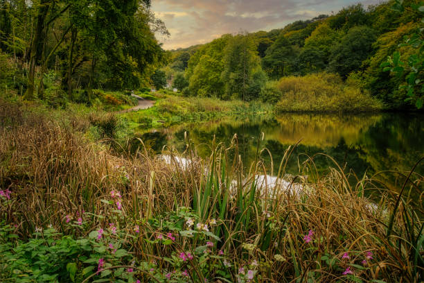 istock Friday Street, Surrey, United Kingdom 1308285325