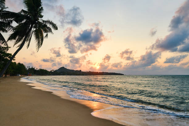 istock Amazing sunset at the beach on tropical island 1308287431