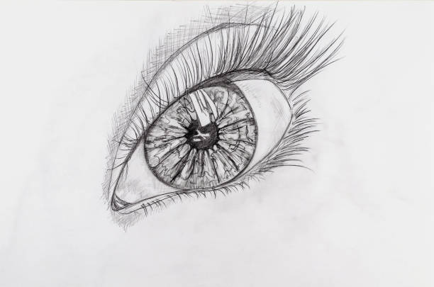 istock Pencil drawing of a female eye on white paper. 1308288145