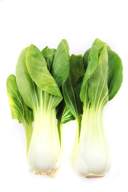 istock pac-choi traditional chinese vegetable isolated 1308289959