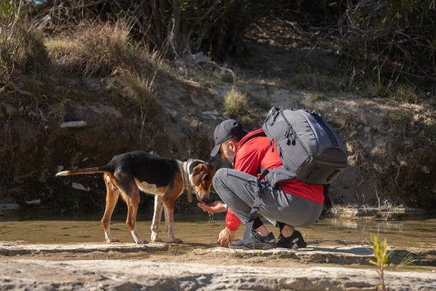 istock Man getting fresh during a hike with his dog . 1308293358
