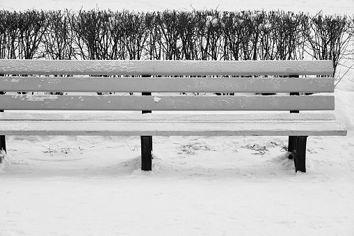one snowy wooden white bench close-up in a winter park without people