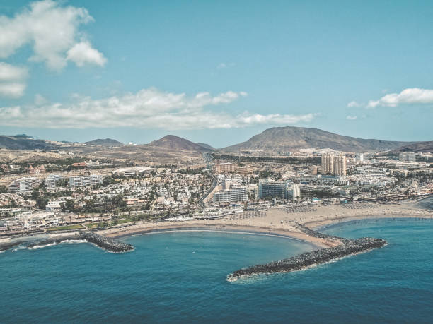 istock Aerial view of Los Cristianos 1308296726