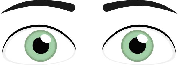 ilustrações de stock, clip art, desenhos animados e ícones de vector illustration of emoticon of a  man´s green eyes - raised eyebrows illustrations