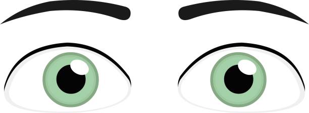 векторная иллюстрация смайлика зеленых глаз человека - two pairs stock illustrations