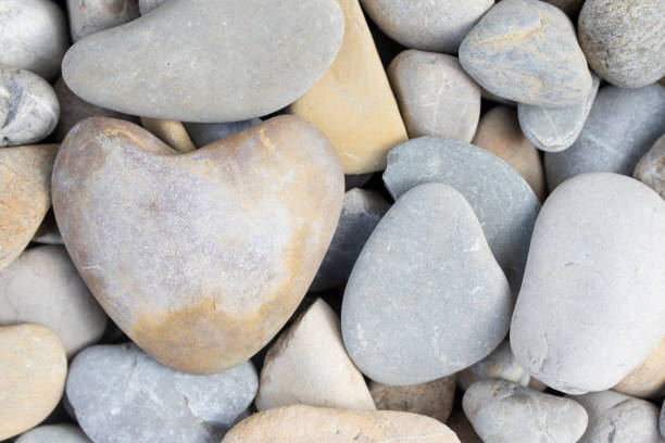 istock Background and texture of pebbles with a heart-shaped pebble between them 1308297876