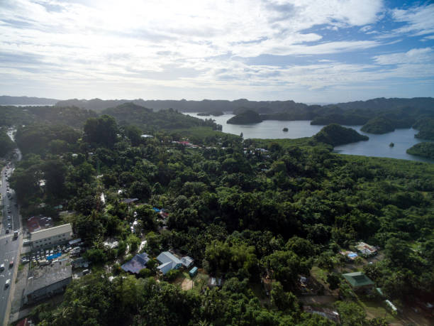 istock Koror Town in Palau Island. 1308300618