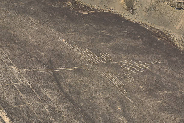 istock Nazca Lines - The Hummingbird 1308301309